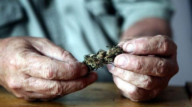 Viele Menschen hatten lange Vorbehalte gegen Cannabis. Foto: Ivan Franco