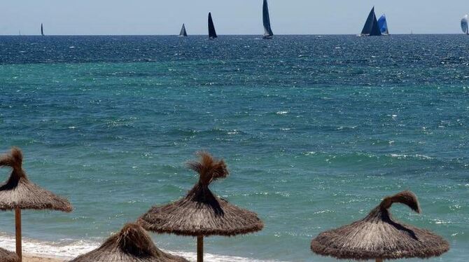 Leerer Strand auf Mallorca: Ein Blauhai vor auf Deutschlands Urlaubsinsel Nummer eins hat Angst und Schrecken unter Badegäste