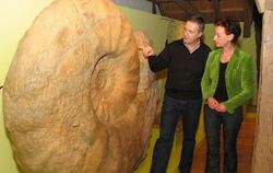 Der größte Ammonit der Welt hat zwei Meter Durchmesser, erläutern Günter Wahlefeld und Barbara Karwatzki. Das Original hätte mit