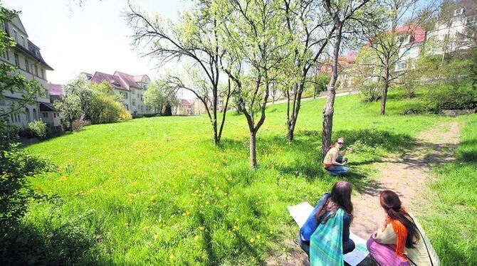 Tübinger Studenten untersuchen die Artenvielfalt auf städtischen und universitären Grünflächen. FOTO: UNI TÜBINGEN