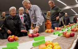 Von Ahrista bis Welschisner: Bei der Apfelsorten-Ausstellung gab es viel zu entdecken. FOTOS: SCHREIER