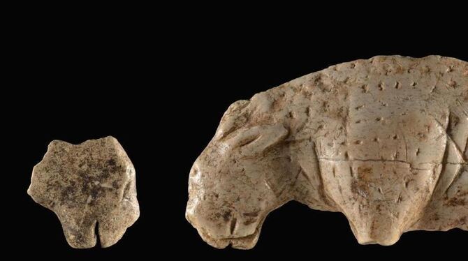 40 000 Jahre alt, 8,6 Zentimeter lang und 50 Gramm leicht: Der kleine Löwe wurde um ein wichtiges Teil ergänzt.  FOTO: HILDE JEN