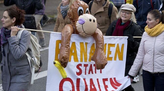 Gegen Tierversuche gingen am Samstag wieder einige Hundert Demonstranten in Tübingen auf die Straße. FOTO: DPA