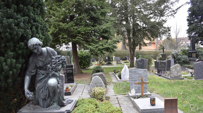 Der Friedhof Mühlwiesen in Metzingen, parkähnlich mit großem Baumbestand gleich neben der Outletcity gelegen, wird seit Jahren a