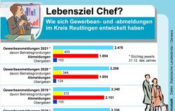 Die Zahl der Gewerbeanmeldungen im Kreis Reutlingen steigt.  FOTO: TEB