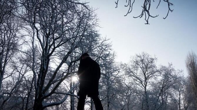 Winterspaziergang in einem Berliner Park. Foto: Kay Nietfeld