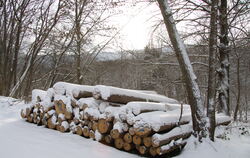 Holzvorrat im Mössinger Stadtwald. Derzeit steigt die Holznachfrage in Deutschland unter anderem im Baubereich. Der Rohstoff ist