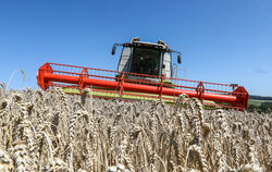 Ein Bauer mäht Weizen. Vom Ladenpreis etwa für Weizenbrötchen bekommt er unter fünf Prozent.  FOTO: WARNACK/DPA