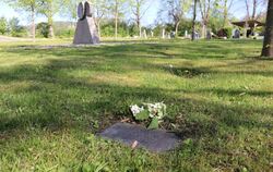 Auf dem Eninger Friedhof sind pflegeleichte Grabstätten im Trend. Vor allem die Baumgräber sind beliebt.
