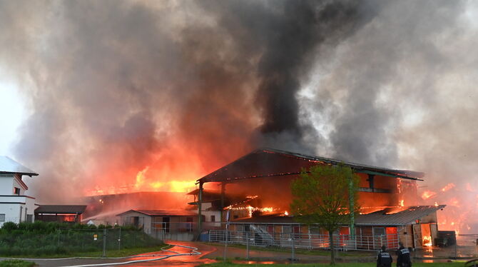 Völlig zerstört wurde der Speidel-Hof in Ofterdingen bei einem Großbrand.
