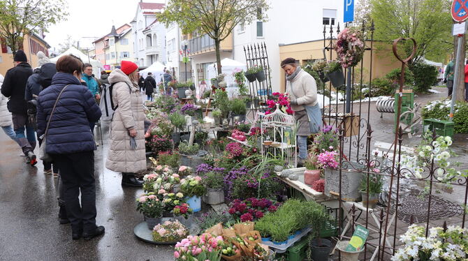 Zum Kunst- und Gartenmarkt kamen aufgrund des schlechten Wetters deutlich weniger Besucher als sonst nach Münsingen.