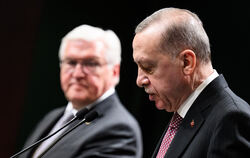  Bundespräsident Frank-Walter Steinmeier und  der türkische Präsident Recep Tayyip Erdogan äußern sich bei einer Pressekonferenz