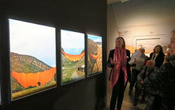 Kunstmuseums-Mitarbeiterin Judith Kleiner erläutert den GEA-Lesern Christos Projekt "Valley Curtain".