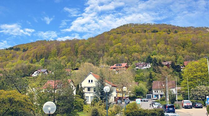 Die Gemeinde Lichtenstein will ihre gesamte Gemarkung ins Biosphärengebiet einbringen. Die Traufflächen gehören zum großen Teil