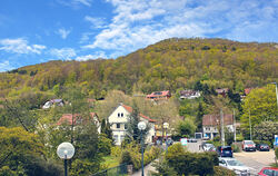 Die Gemeinde Lichtenstein will ihre gesamte Gemarkung ins Biosphärengebiet einbringen. Die Traufflächen gehören zum großen Teil 