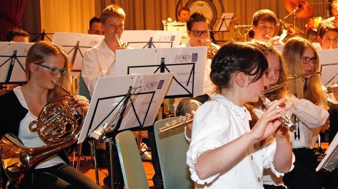 Auch die Jugendkapelle hat ihre Instrumente bestens im Griff, wie sie beim Konzert in Hayingen bewies.  FOTO: LEIPPERT