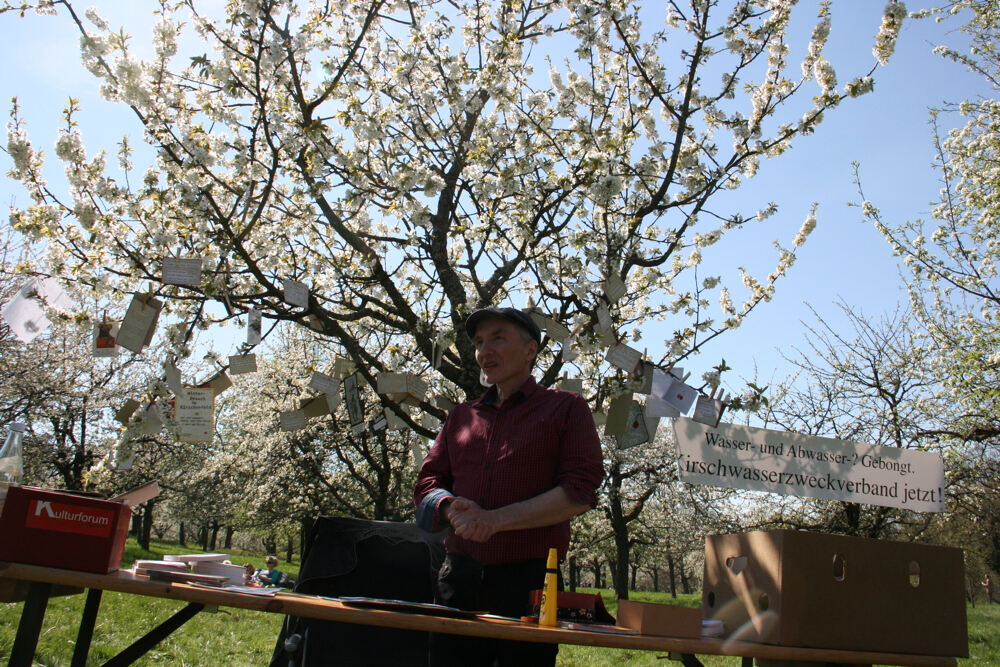 Kirschblütenfest in Nehren.