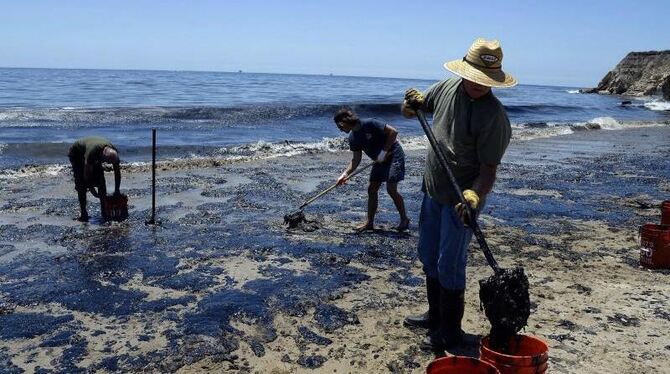 Der 15 Kilometer lange und aus geschätzten 400.000 Litern Rohöl bestehende Ölteppich bedroht die Tierwelt zu Land und Wasser.