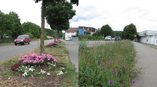Gepflegte Blütenpracht in Wannweil auf Höhe der Gärtnerei Weber (links), Natur pur im Nachbarort (rechts). Die Überbleibsel der