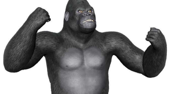 King Kong als Muskelprotz: Dieses Bild bestimmt die Vorstellung vom Riesenaffen. Manchmal aber reichen Muskeln allein dann doch