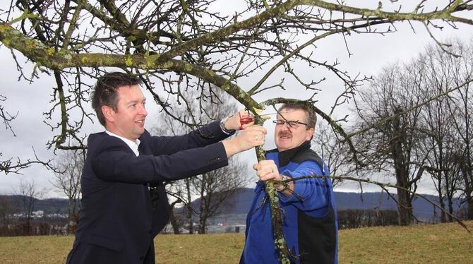 Baum schneiden im Anzug: Bürgermeister Tobias Pokrop (links) und Johannes Jugel werben für die Samstag-Aktion. FOTO: KOZJEK