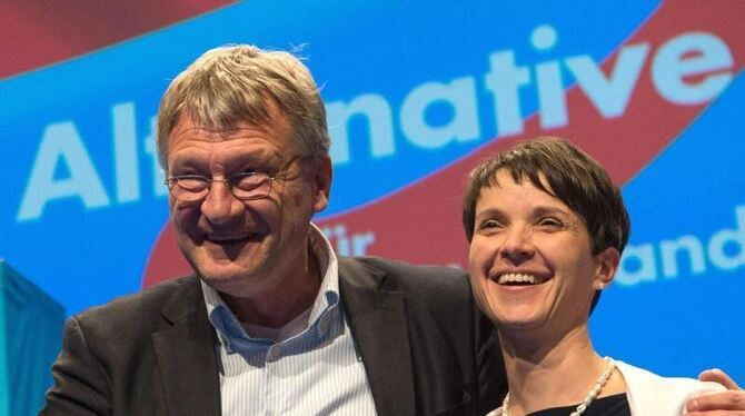 Die AfD-Parteivorsitzenden Meuthen (l) und Petry. Laut Deutschlandtrend liegt die AfD derzeit bei 15 Prozent. Foto: Marijan M