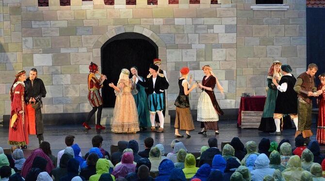 Das Ensemble von »Robin Hood« auf der Metzinger Kelternfestspiele-Bühne.