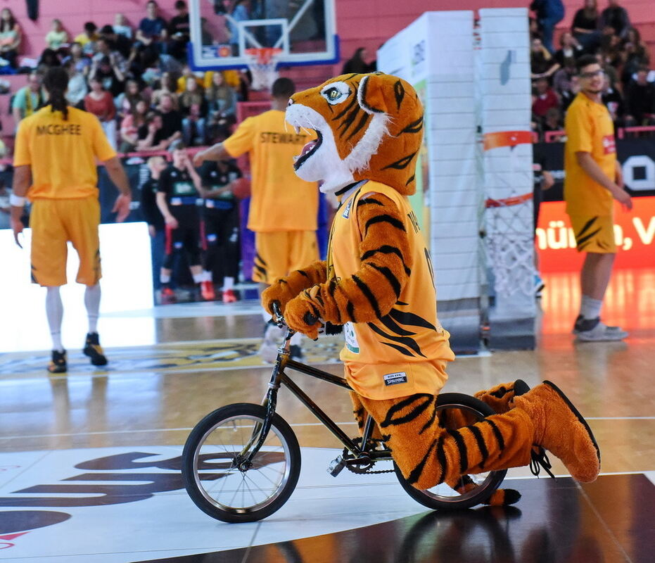 Walter Tigers Tübingen - Gießen 46ers 78:66