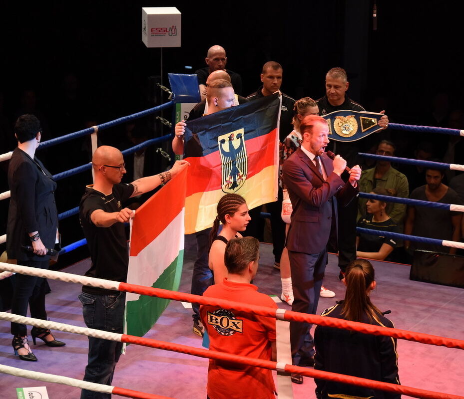 Box-Gala Reutlingen Björn Blaschkes Abschiedskampf