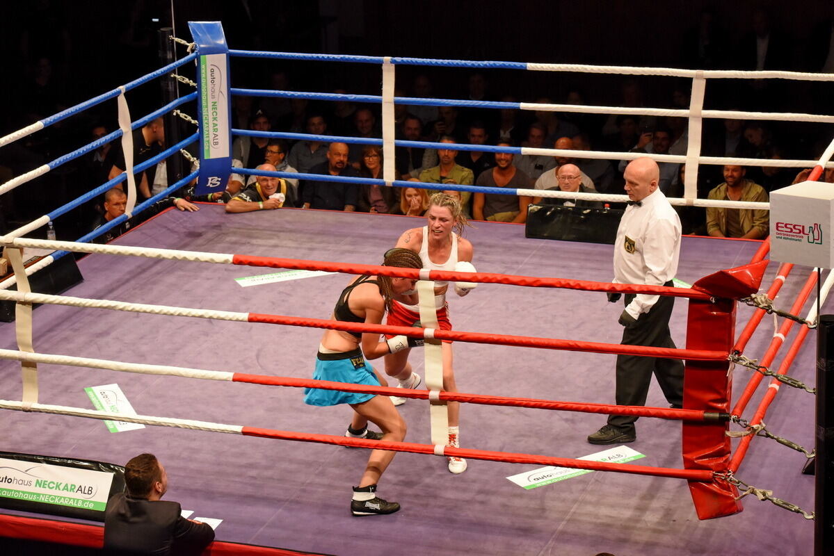 Box-Gala Reutlingen Björn Blaschkes Abschiedskampf