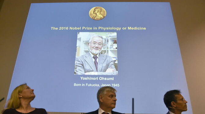 Der Nobelpreis für Medizin geht in diesem Jahr an den Japaner Yoshinori Ohsumi