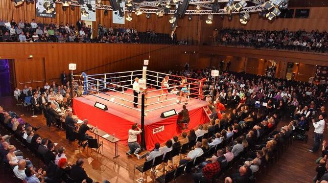 Im Zentrum ein Boxring: Die Licht- und Tontechnik über dem Ring musste extra installiert werden.