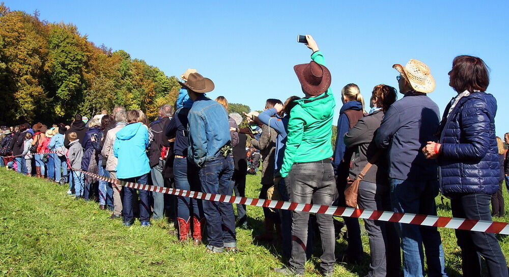 Albbüffelabtrieb in Meidelstetten 2016