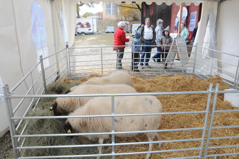 Schön und Gut Münsingen 2016