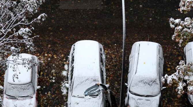 In der Nacht fielen in Teilen Norddeutschlands die ersten Schneeflocken. Foto: Christian Charisius