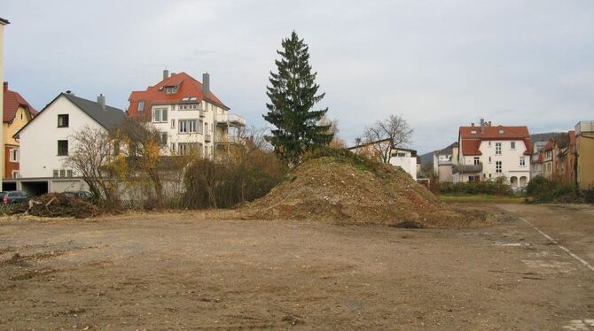 Vor der Neubebauung: Grundstücke an der Burg-/Aispachstraße. FOTO: HÖNESS