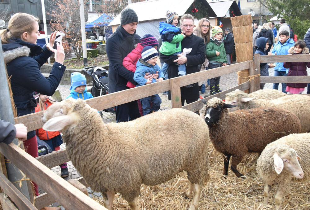 Weihnachtsmarkt Pliezhausen