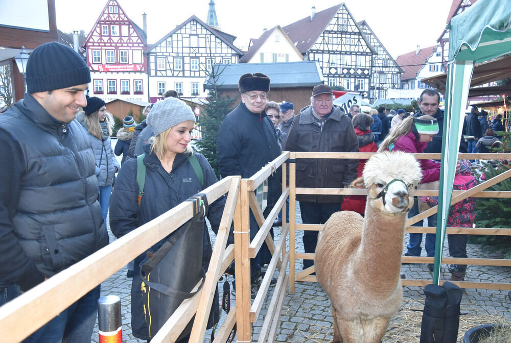 Weihnachtsmarkt Bad Urach.