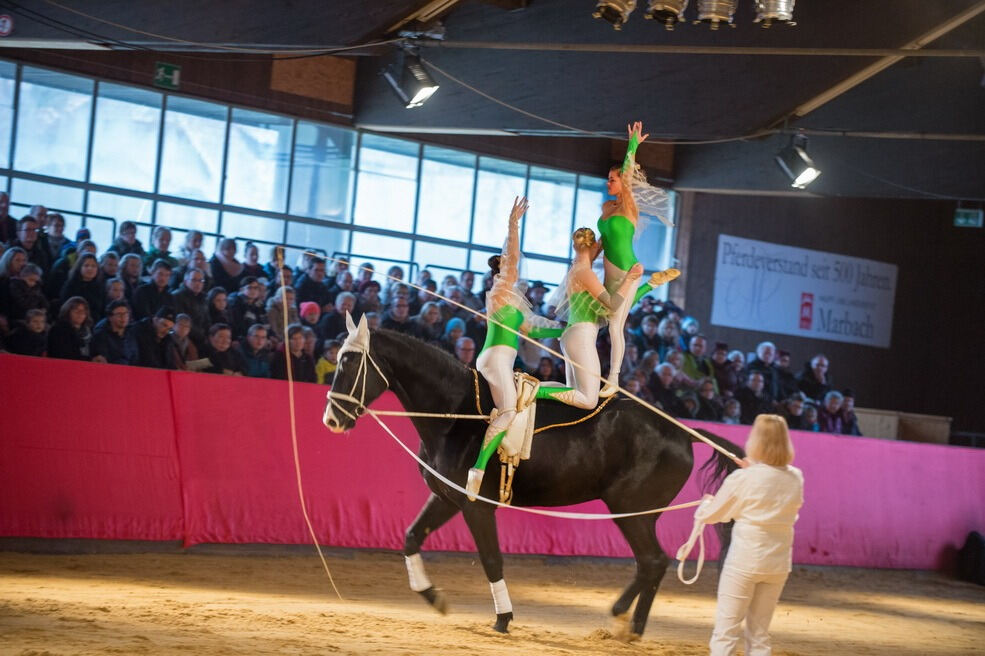 Krippenspiel Lebendige Bilder zur Weihnacht in Marbach 2016