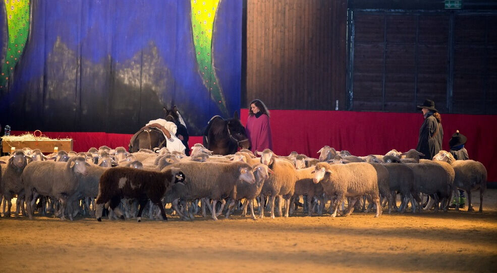 Krippenspiel Lebendige Bilder zur Weihnacht in Marbach 2016