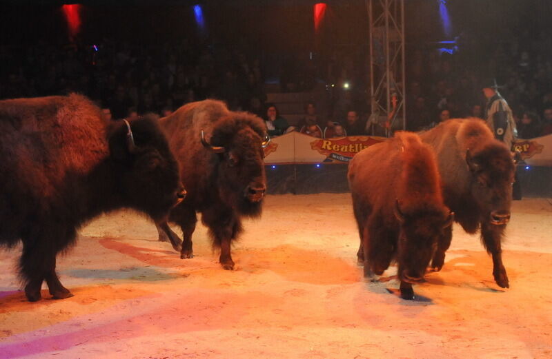 Reutlinger Weihnachtscircus 2016