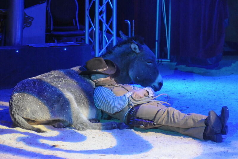 Reutlinger Weihnachtscircus 2016