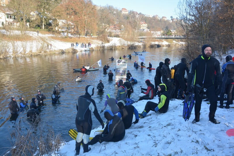 Neckarabschwimmen in Tübingen 2017