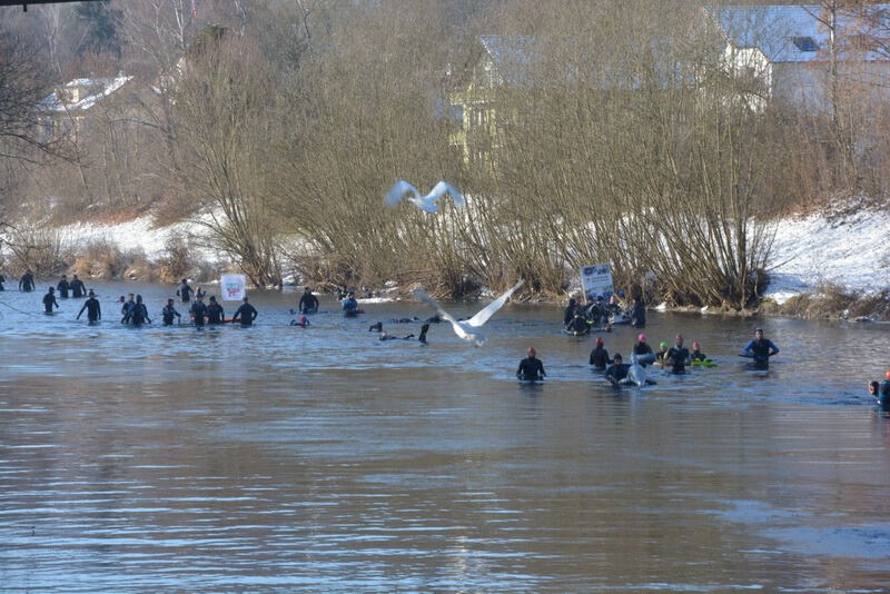 Neckarabschwimmen in Tübingen 2017