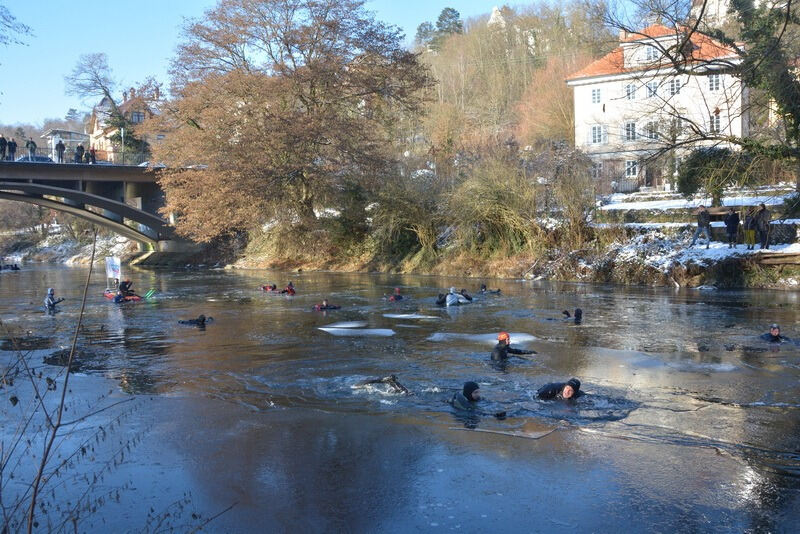 Neckarabschwimmen in Tübingen 2017