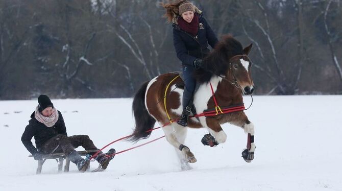 Chiara Heinemann (r) und Hanna Butscher sind mit Pony Fanny und einem Schlitten bei Altheim im Schnee unterwegs. Foto: Thomas Wa