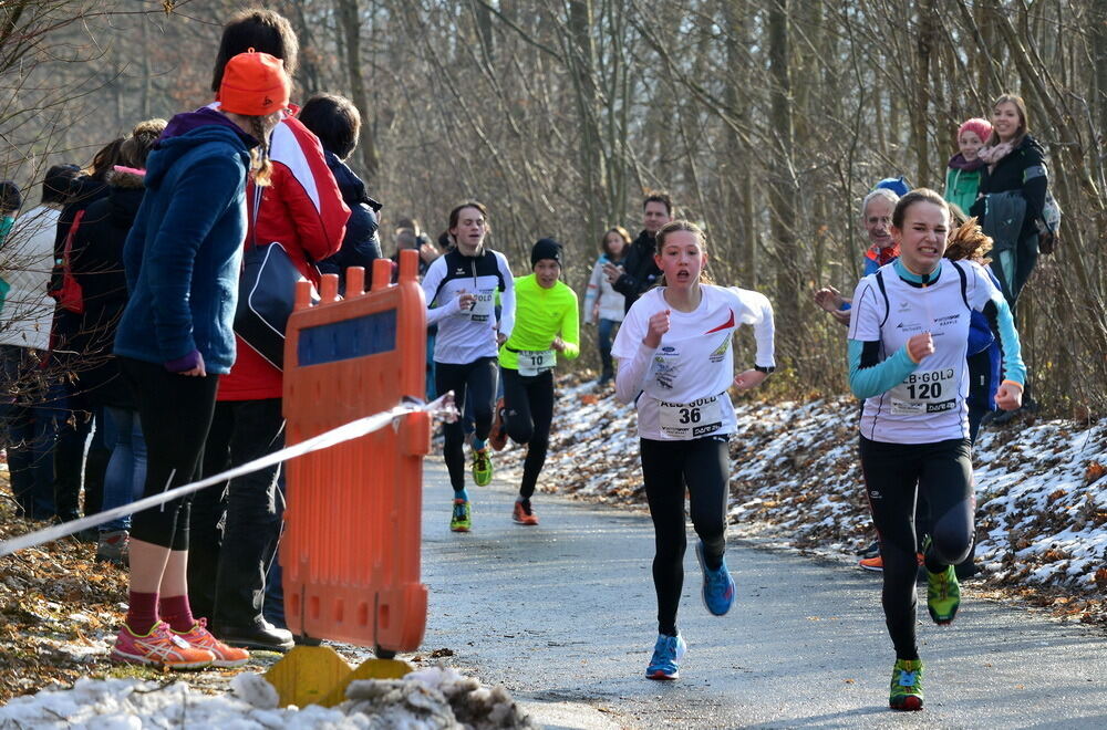 Winterlauf-Cup in Gniebel 2017