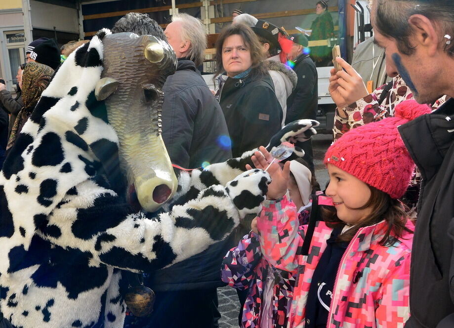 Narrenumzug Reutlingen 2017