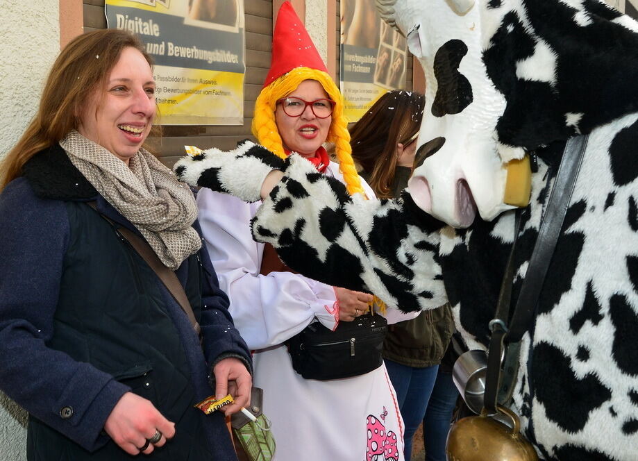 Narrenumzug Reutlingen 2017