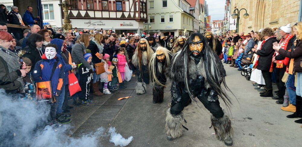 Narrenumzug Reutlingen 2017